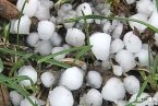 新疆哈巴河县冰雹 4月21日下午新疆下冰雹 哈巴河县