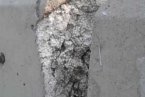 立交桥露泡沫 青岛立交桥裂缝处露出泡沫填充物是建