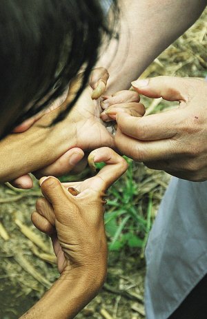 兄妹隐居深山20余年几乎失语(组图)