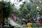 广西桂林天气 昨广西桂林市大风 几十棵大树连根拔
