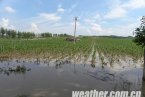 20日长春遭遇雷雨侵袭 多地出现冰雹