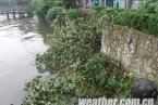25日杭州强降雨导致河堤坍塌