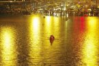 北京最强暴雨37人遇难