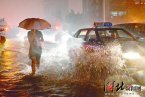 昨日河北大部遇强降雨 石家庄积水严重