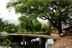 楠溪江的古桥 楠溪江三百里山水画廊风景区的古桥