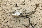 旱情严重的随州市已累计打各种水井5291口 湖北随州