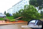 布拉万对威海的影响 带来大风降雨天气市区大树被吹