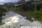 黑龙省江嘉荫县29日大暴雨 农业受损严重
