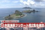 中国两艘海军护卫舰抵达钓鱼岛海域 中国海军抵达钓
