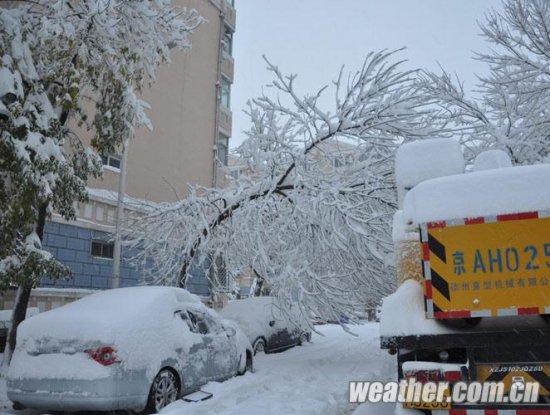 北京大雪 11月4日北京多地下大雪延庆佛爷顶降雪量最大51毫米