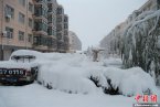 张家口蔚县暴雪 11月4日张家口蔚县大雪刷新58年历史