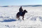内蒙古白灾50年来最严重30年来最冷 内蒙古的冬天寒