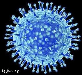 人感染高致病性禽流感诱因甲型流感Ｈ５Ｎ１病毒