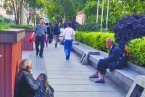 新老乞丐交流经验 原来讨饭也有技巧