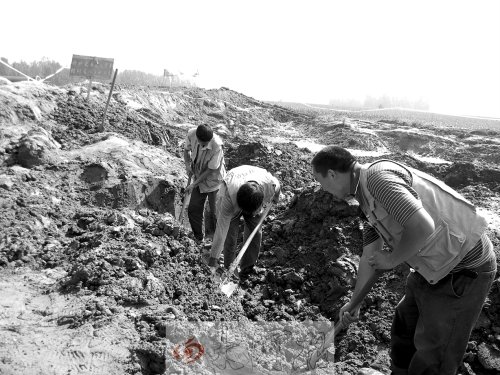 河南村民挖古币