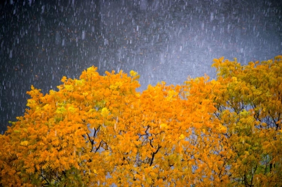 2013年冬天杭州第一场雪