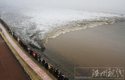 海宁大潮照片
