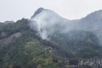 永嘉岩头镇下烘头村2014年3月16日发生森林火灾