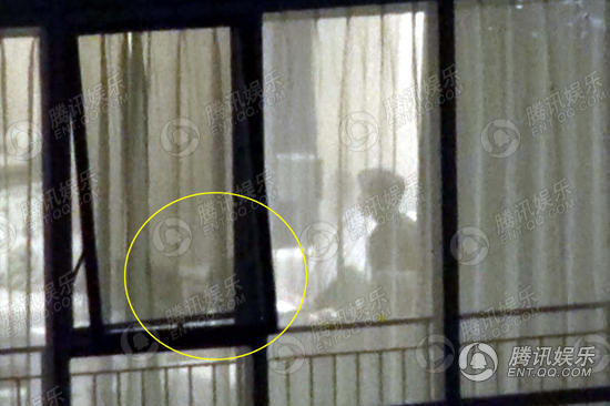 谢霆锋王菲复合