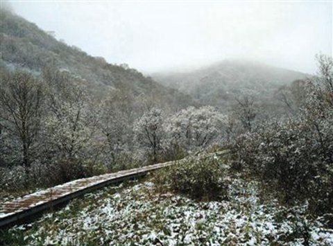 北京灵山五月飘雪,2015年5月9日北京灵山风景区下雪了