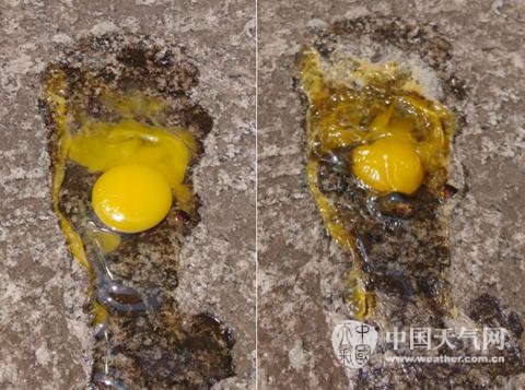 昨天14:15和15:15地面上鹌鹑蛋的变化对比图。（胡华桦 摄）