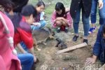 大学保安活埋流浪狗