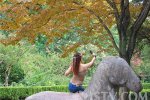 南京女子不文明行为 骑在文物上自拍景区不文明现象