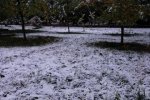 温州的天气还穿短袖呢 新疆北部下大雪暴雪了