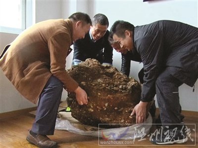 南京市民挖到一个金陵神罐
