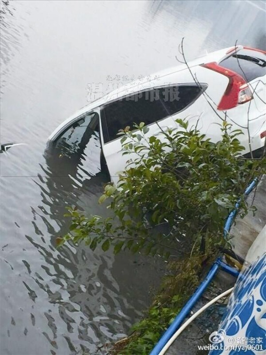 瓯海女司机油门当刹车