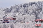 庐山雾凇 庐山三月飘雪现雾凇奇观