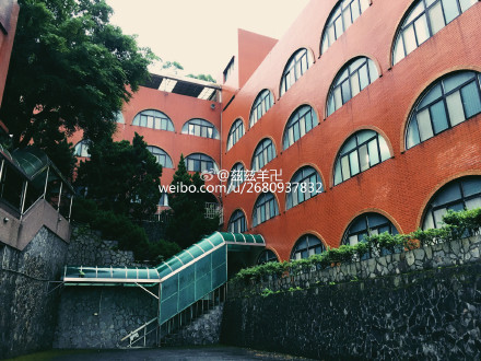 节目组发道歉声明