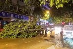 重庆暴雨 5月6日重庆遭暴雨大风袭击3人遇难经济损失