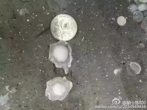 浙江北部遭遇冰雹袭击 大风压坏汽车