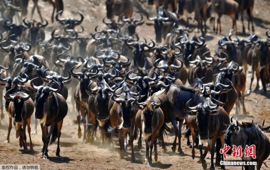 百万大军天堂之渡