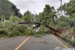 深圳台风最新消息 第22号台风逼近广东深圳到汕尾沿