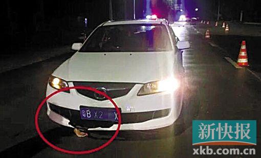 车底伸出一只血手