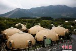 日本馒头度假屋受欢迎 抗震好造型萌