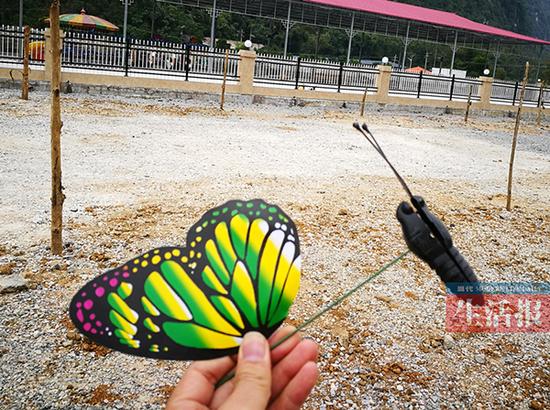 动物园展塑料蝴蝶