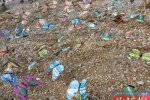 动物园展塑料蝴蝶 马山小都百景区