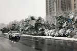 安徽暴雪致13人死亡 2018年安徽暴雪经济损失12.6亿元