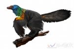 亿年前彩虹恐龙化石