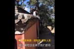 老外爬颐和园围墙 不文明