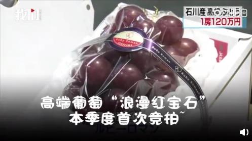 日本高级葡萄一串120万日元