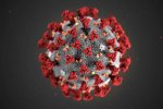 世卫命名新冠病毒COVID-19 疫苗18个月后研制成功