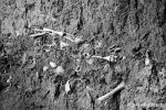 山西高平发现疑似长平之战尸骨坑 可见大量尸骨