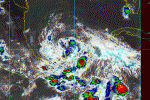 飓风格雷斯减弱为热带风暴