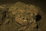 从7200年女孩的DNA中发现了新的人类血统