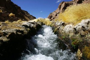世界法院审理智利诉玻利维亚关于锡拉拉河权利的诉
