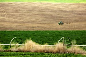 美国参议员呼吁农民在受保护的土地上种植应对乌克